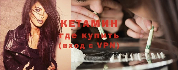 прущие грибы Балахна