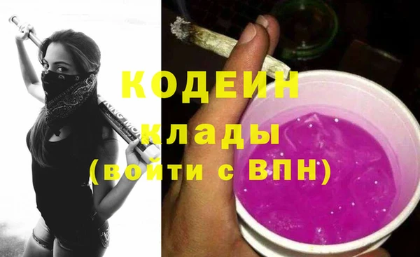 прущие грибы Балахна