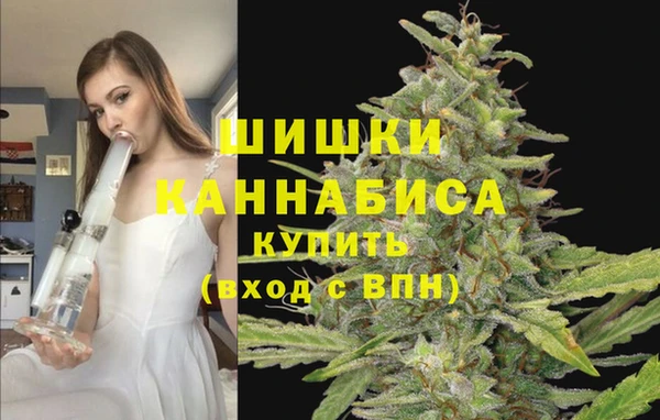 прущие грибы Балахна