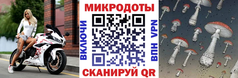 Галлюциногенные грибы ЛСД  Пересвет 